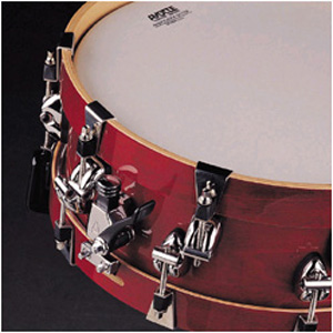 snare_pic_large-300.jpg